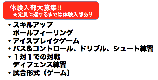サッカー練習説明